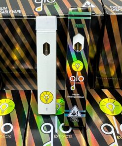 Glo Extracts Disposable for sale, flavors inspired by your favorite smoothies, Buy outranked disposable for sale, boutiq disposable price, packman resin