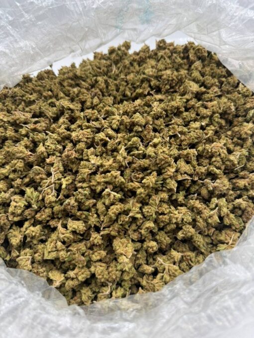 Trop Cherry Weed Strain, Buy Trop Cherry Weed, Trop Cherry Cannabis Strain, Hitz Gen 4 Disposable, Hitz Gen 6 Disposable, Hitz Gen 7 Disposable