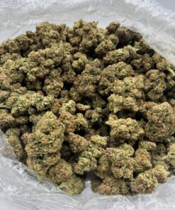Blueberry Gelato Weed, Buy Blueberry Gelato Weed In stock, Trop Cherry, Trop Cherry Weed, Trop Cherry Weed Strain, Trop Cherry Weeds