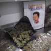 Dutt Pack Weed Strawberry Champagne Pound Wholesale