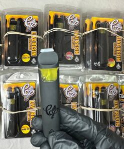 Cali Plug Disposable, lemoncello cartnite for sale, 3 gram cake she hits different disposable, cartnite kanye west, doubles disposable, Buy 3g fryd