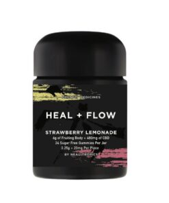 HEAL + FLOW GuMMIES 6g