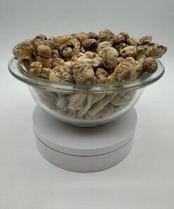 Albino Tidalwave Mushroom, Buy Albino Tidalwave shroom, fresh disposable 2g, fine labs disposable, disco disposables for sale, mad labs grapefruit zlushie