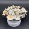 Albino Jack Frost Mushroom, Albino Jack Frost Mushrooms for sale, Albino Jack Frost for sale in stock, neau tropics chocolate, neautropics chocolate bars