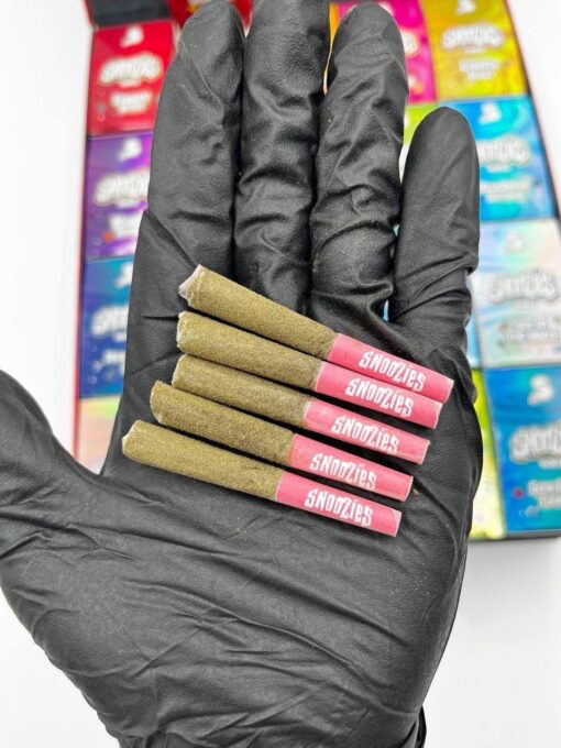 Snoozies Minis, Snoozies Minis By Snooze, Buy Snoozies Minis By Snooze for sale, Buy Life Is ot Grape .5g Rosin Disposable, Buy green team organics