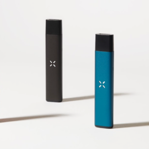 PAXLABS MINI DISPOSABLE VAPE