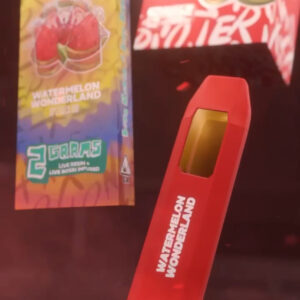 Stonerstix 2g Watermelon wonderland 🍉🍉 (Hybrid)